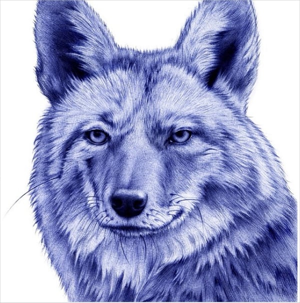 fox ballpoint drawing