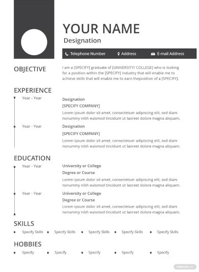 blank resume objective template