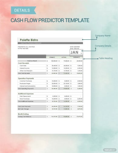 cash flow predictor template