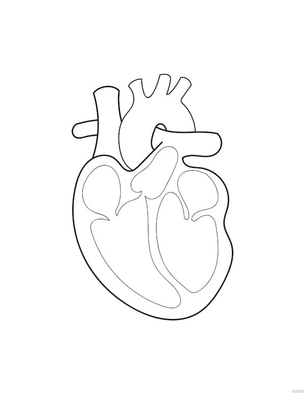 free heart drawing coloring page template