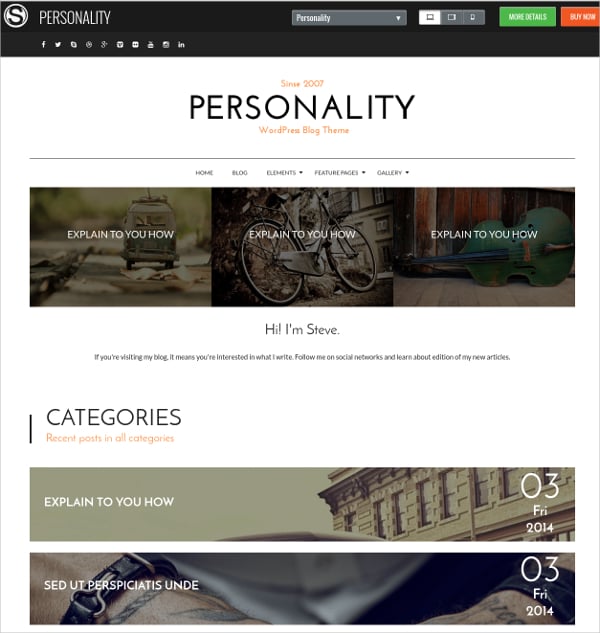 personal blog wordpress website theme