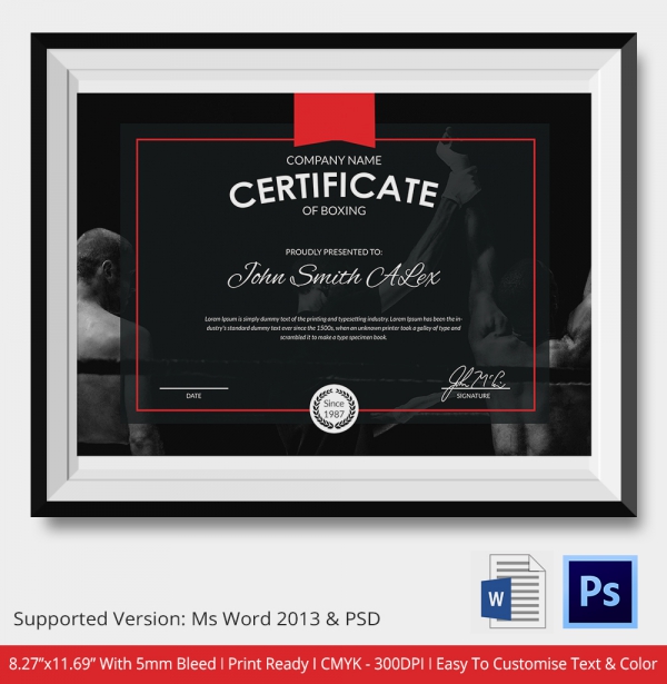 layout sample certificate Download Word, Format Free Certificate    5 Boxing PSD