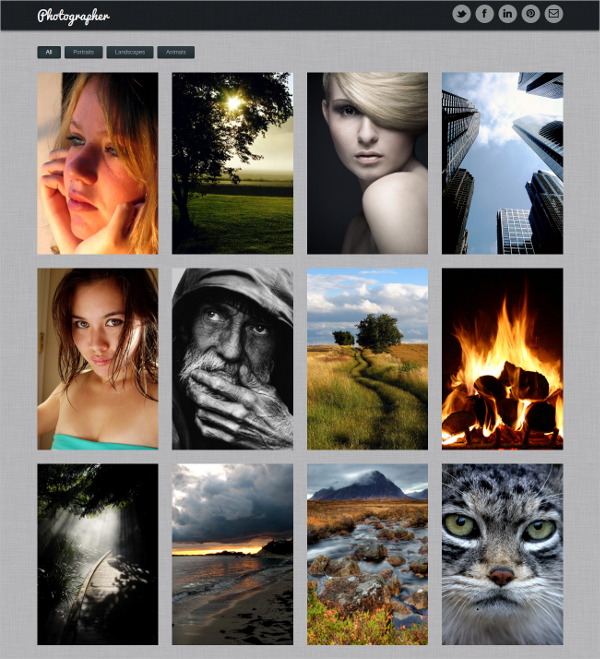 15+ Photo Gallery Bootstrap Themes & Templates