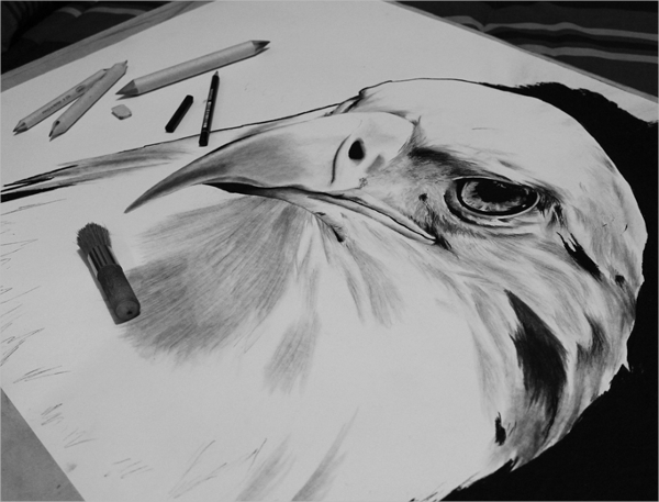 eagle charcoal drawing