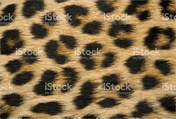 african leopard pattern