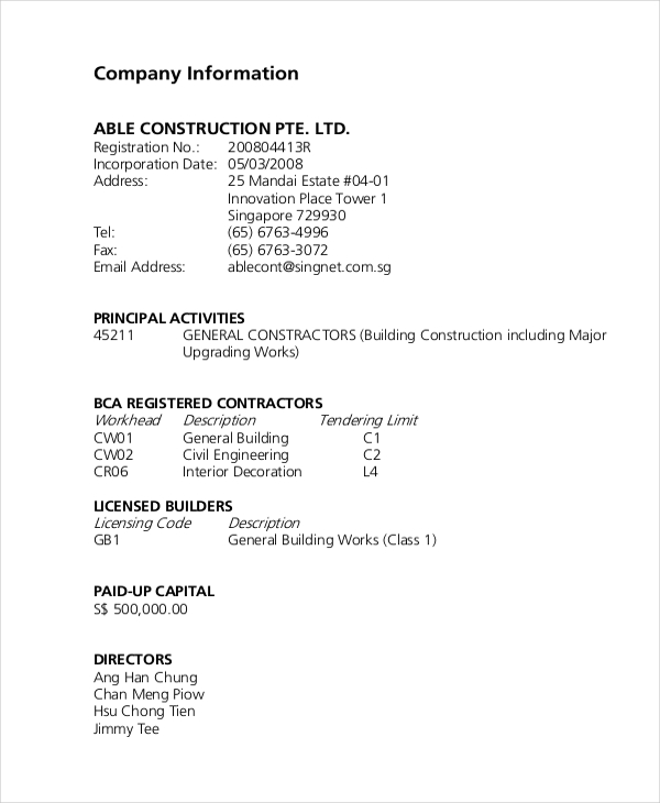 13-company-description-examples-pdf