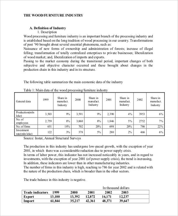 13+ Company Description Examples PDF