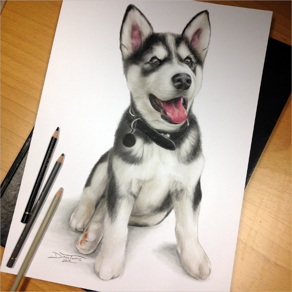 puppy pencil drawing