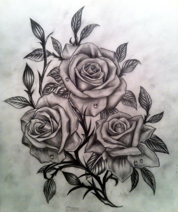 15 Simple Rose Drawing Ideas For Beginners  The Beginning Artist