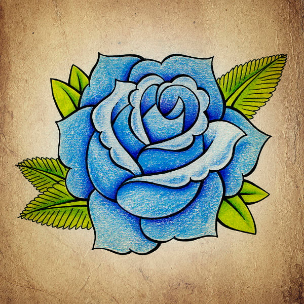blue rose drawing