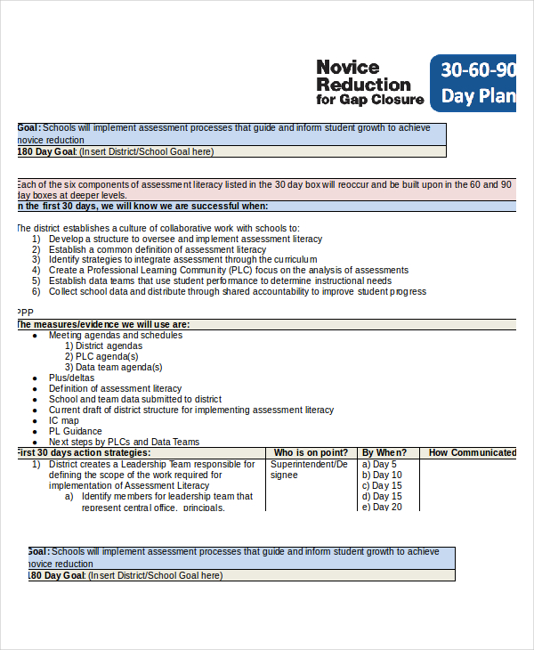 0 60 90 day plan doc