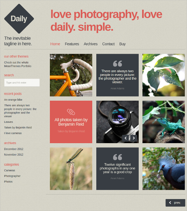 beautiful wordpress website blog photo theme