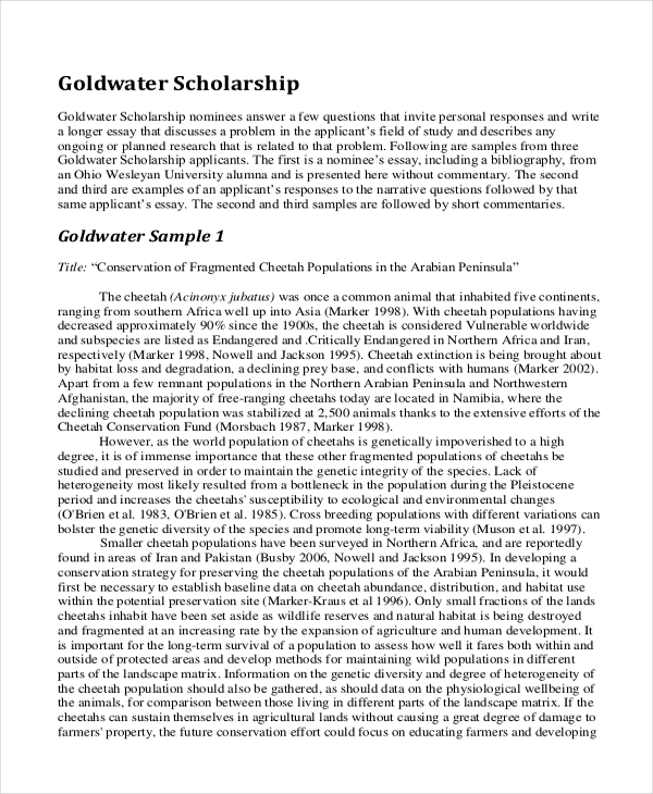 Scholarship Application Essay Format Scholarship Application Essay   University Scholarship Essay Example 