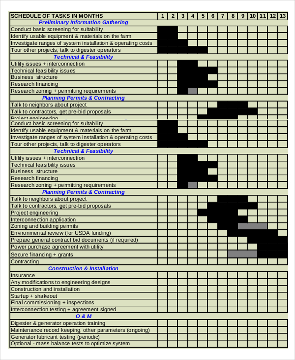 digester development gantt chart