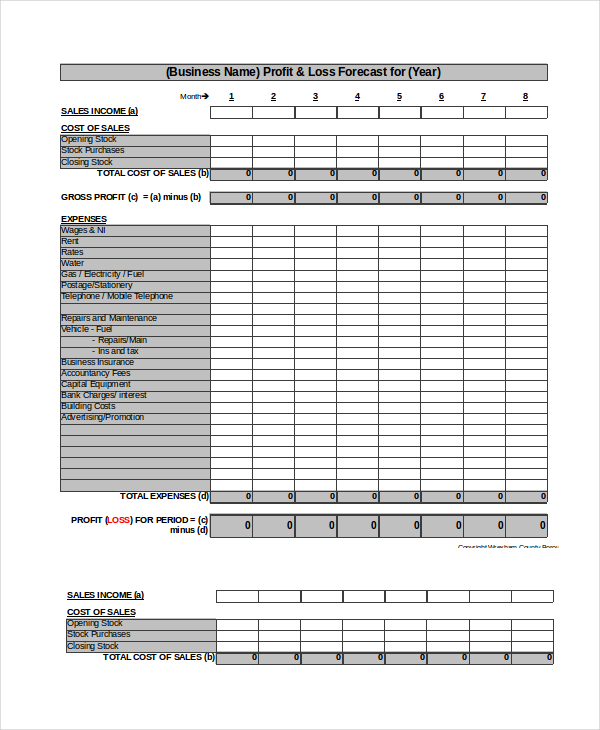 Profit And Loss Forecast Excel Template