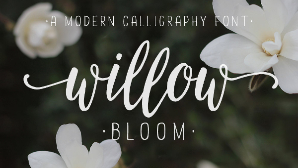 cute-modern-calligraphy-font-download-fonts-vrogue