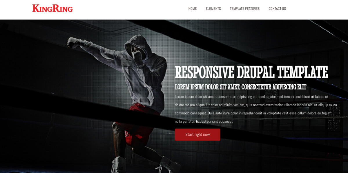 boxing website sport drupal theme