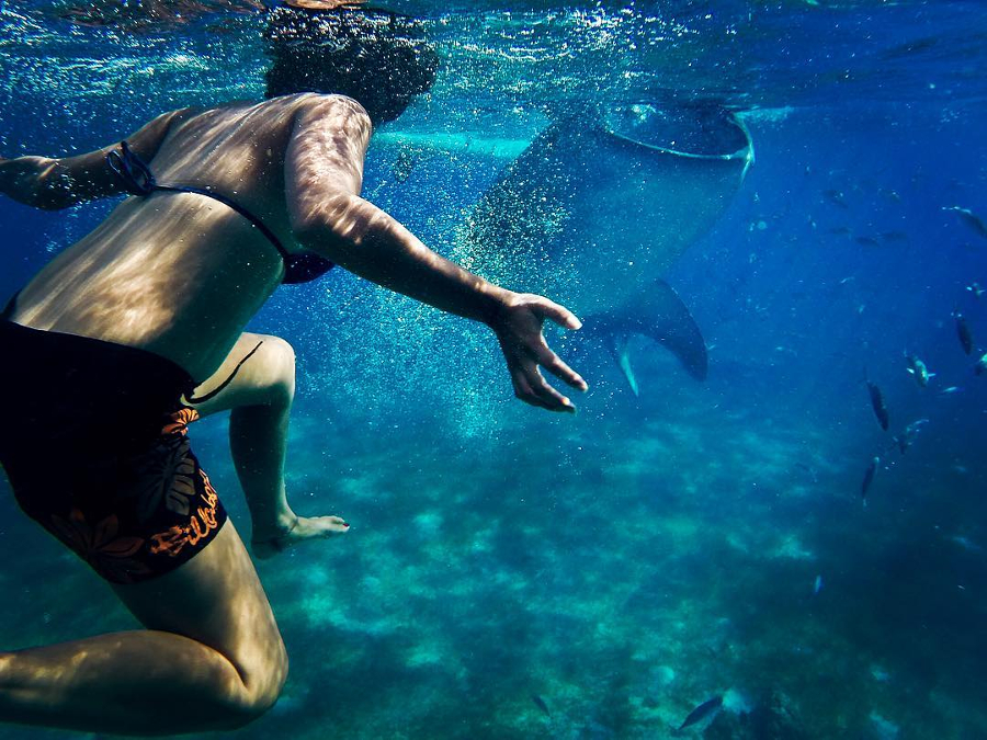 beautiful girl underwater photography