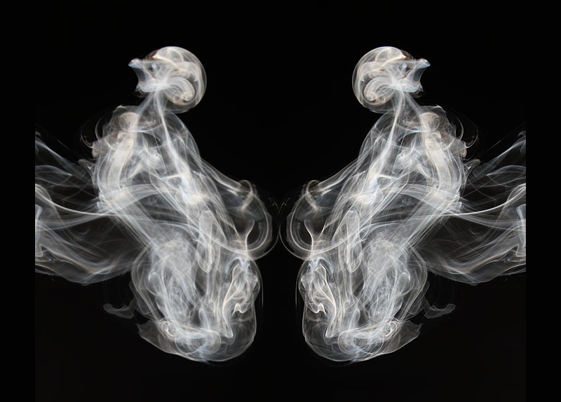 pair of creatures smoke art