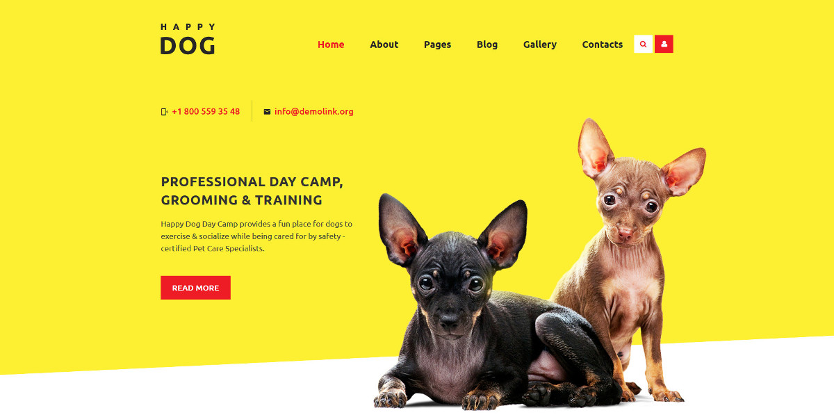 dog camp training joomla template