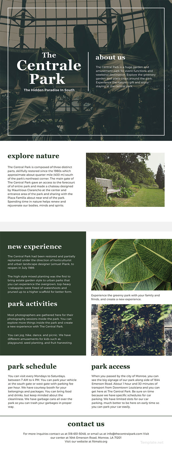 free one page brochure template