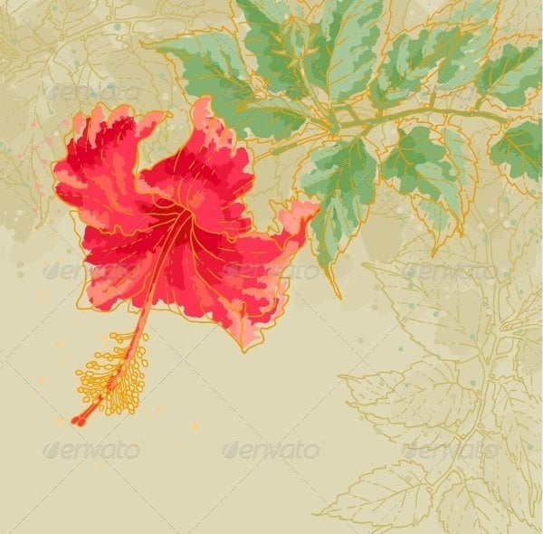 hibiscus flower drawing
