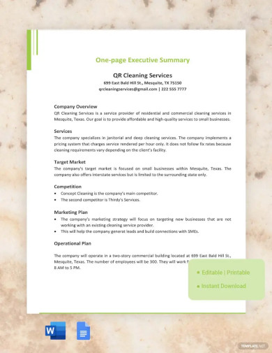 one page executive summary template