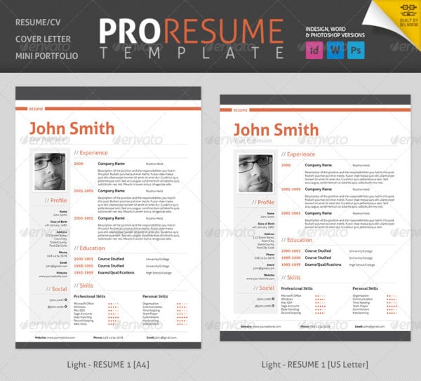 professional resume template1