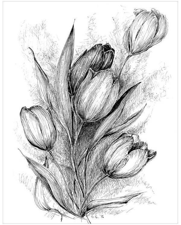 19 Flower Drawings Free Premium Templates