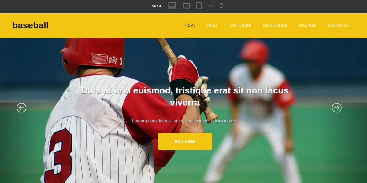 portfolio baseball website template