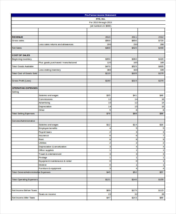 pro forma income statement template word