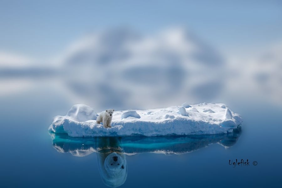 meaningful quotation iceberg photography