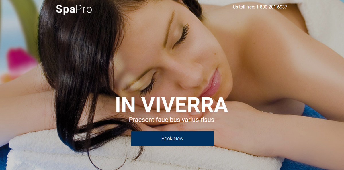 Beauty Salon & Spa Landing Page Theme $18