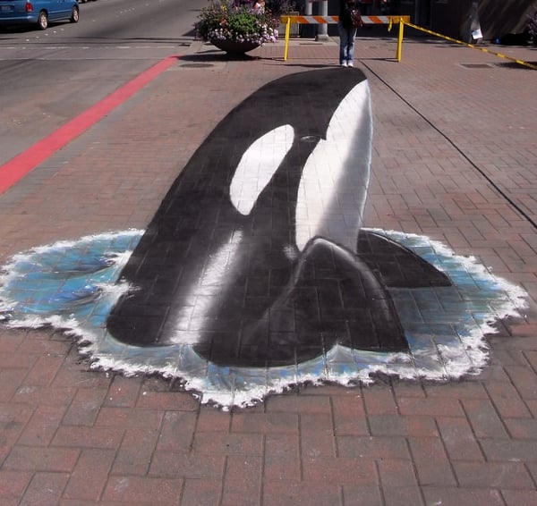 artist painted dolphin on street
