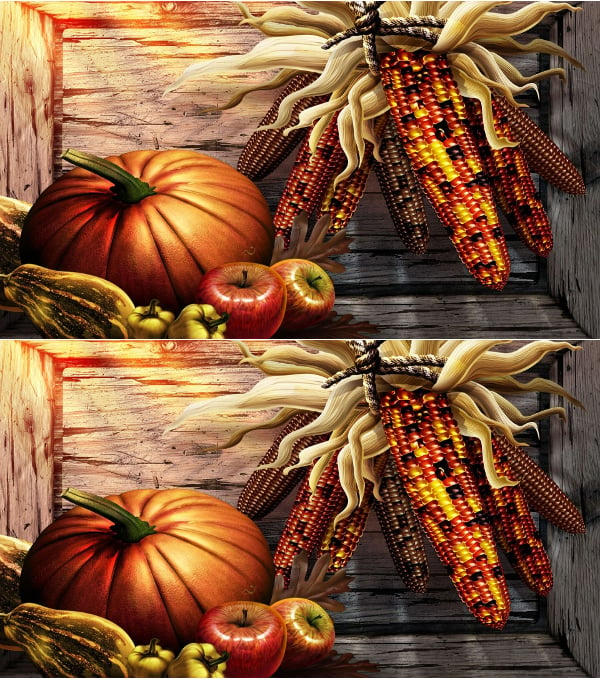 thanksgiving harvest holiday background