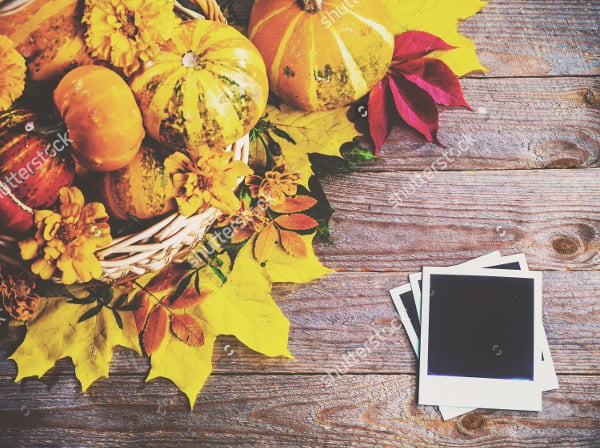 thanksgiving photography template download