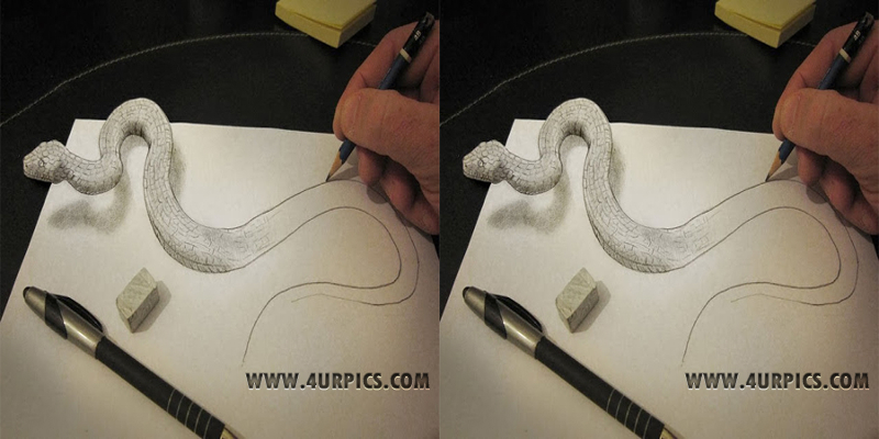 3D Pencil Art Raven Drawing  YouTube