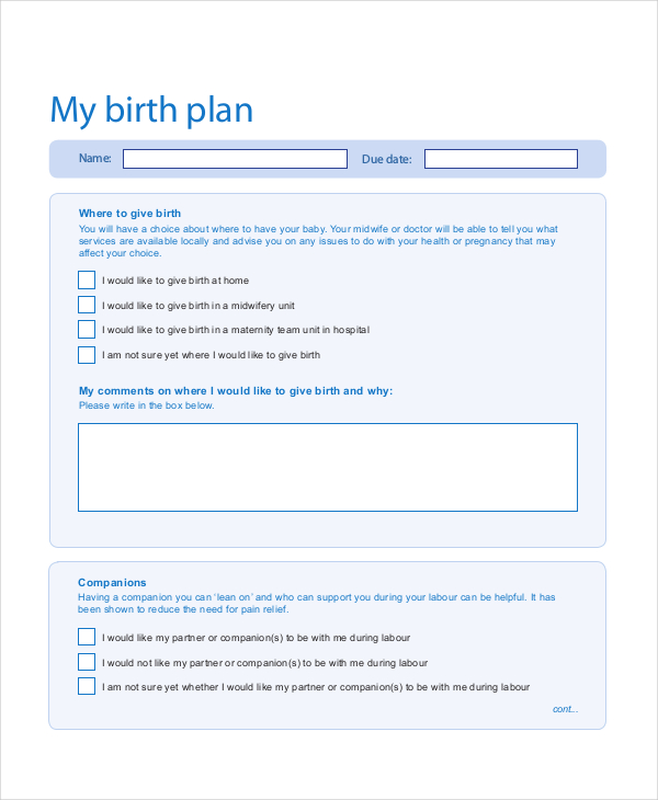 Birth Plan Template 11 Free Word PDF Documents Download