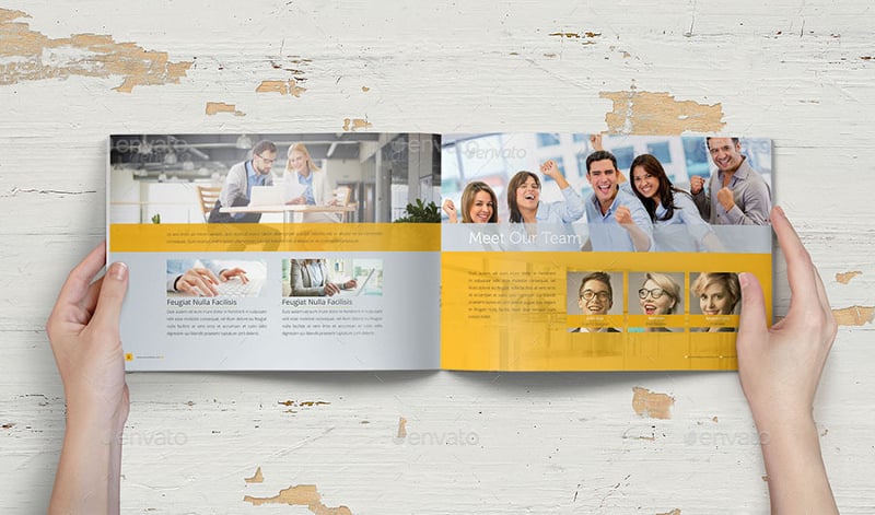 corporate business landscape brochure