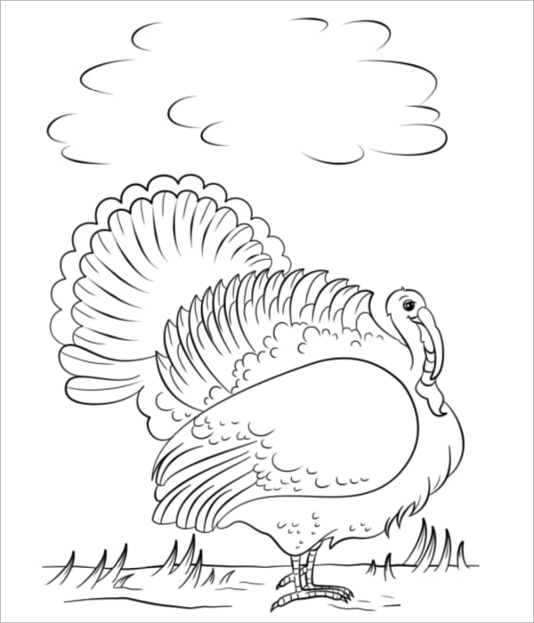 cartoon turkey coloring page