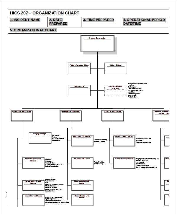hics-organization-chart