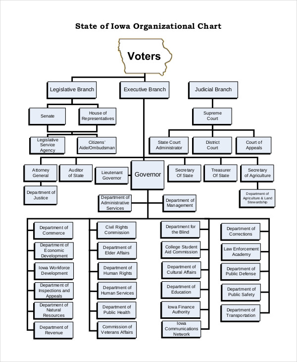 Organizational Chart 17+ Free Word, PDF Documents Download