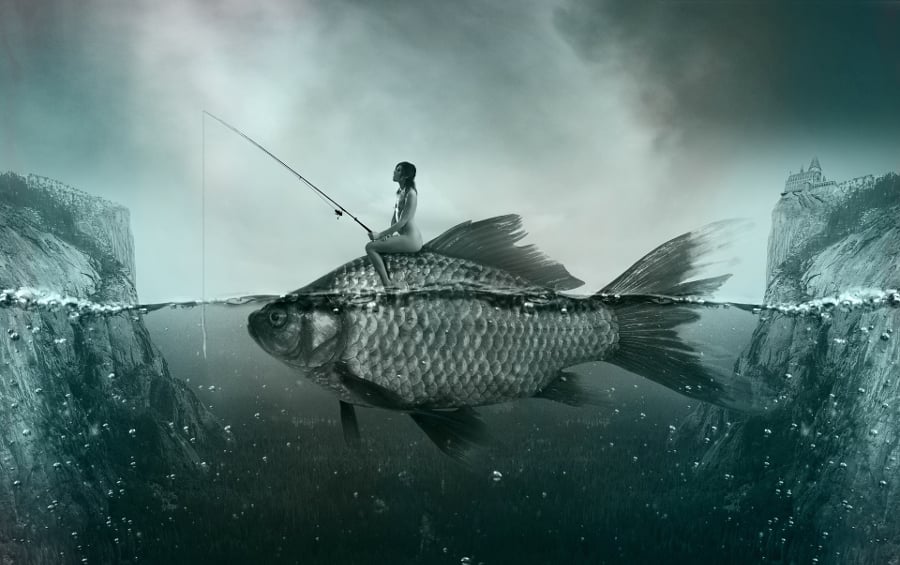 woman on fish landscape photography