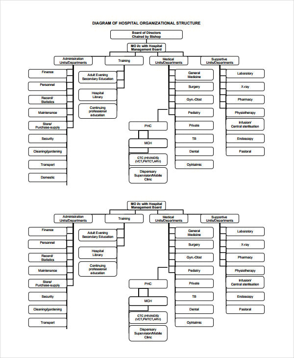 hospital organizational chart