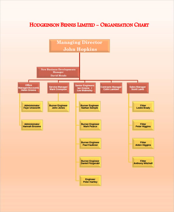 business organizational chart
