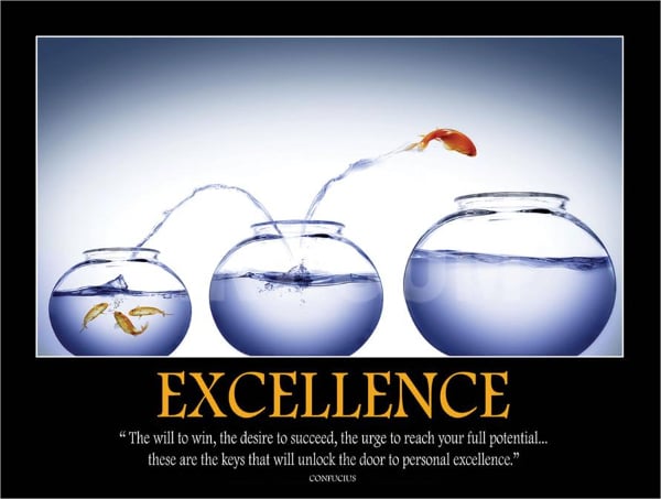 excellence motivational poster