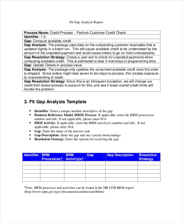 fit gap analysis report
