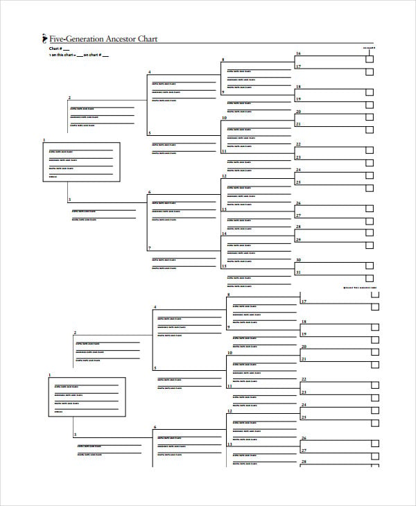 19+ Family Tree Templates