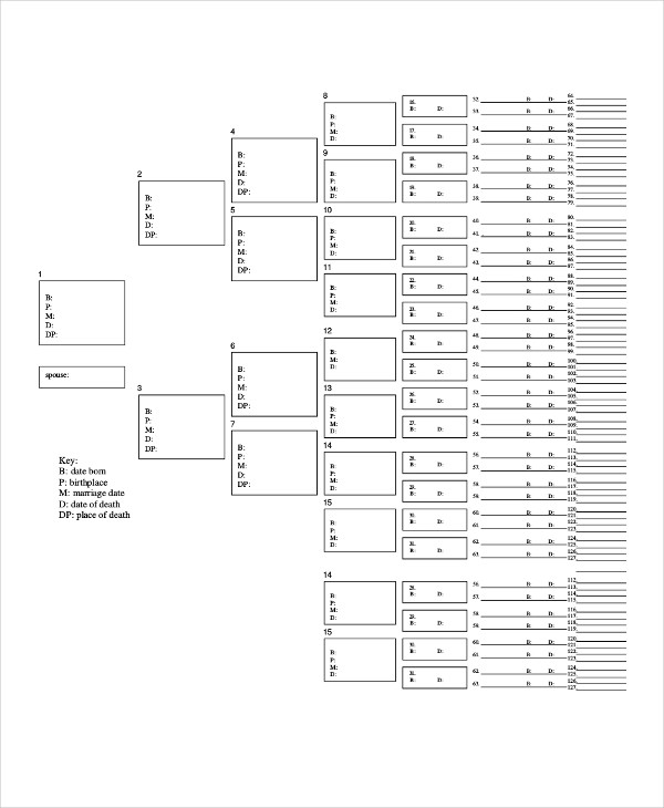 19+ Family Tree Templates