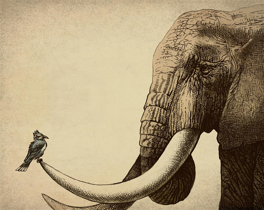 creative elephant drawing